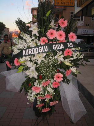 kazablanka,gerbera,sebboy ferforje Ankara ukurambar ieki maazas 