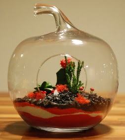 Elma Terrarium 3 kakts orta boy Ankara Kzlay 14 ubat sevgililer gn iek 