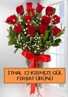  thal krmz 12 adet kaliteli gl Ankara Dikmen ucuz iek gnder 