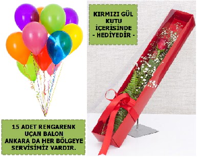 15 Adet uan balon ve kutuda krmz gl Ankara Balgat iek , ieki , iekilik 