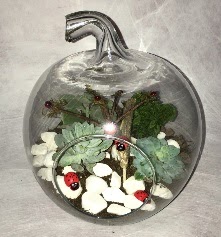 Kk terrarium elma 3 kakts Ankara Kzly iek maazas , ieki adresleri 