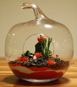 Elma Terrarium 3 kakts orta boy Ankara Kzlay 14 ubat sevgililer gn iek 