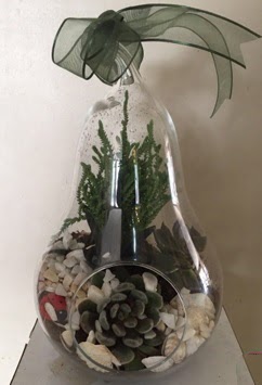 Orta boy armut terrarium 3 kakts Ankara ieki Kzlay gvenli kaliteli hzl iek 