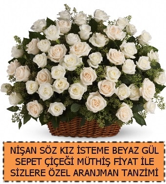 Sz nian kz isteme iei 33 beyaz gl Ankara Kolej iek gnder